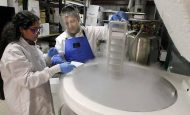 Man and woman look into liquid nitrogen tank: Liquid nitrogen is frequently used in scientific research, chemistry classes, and even culinary arts nowadays.