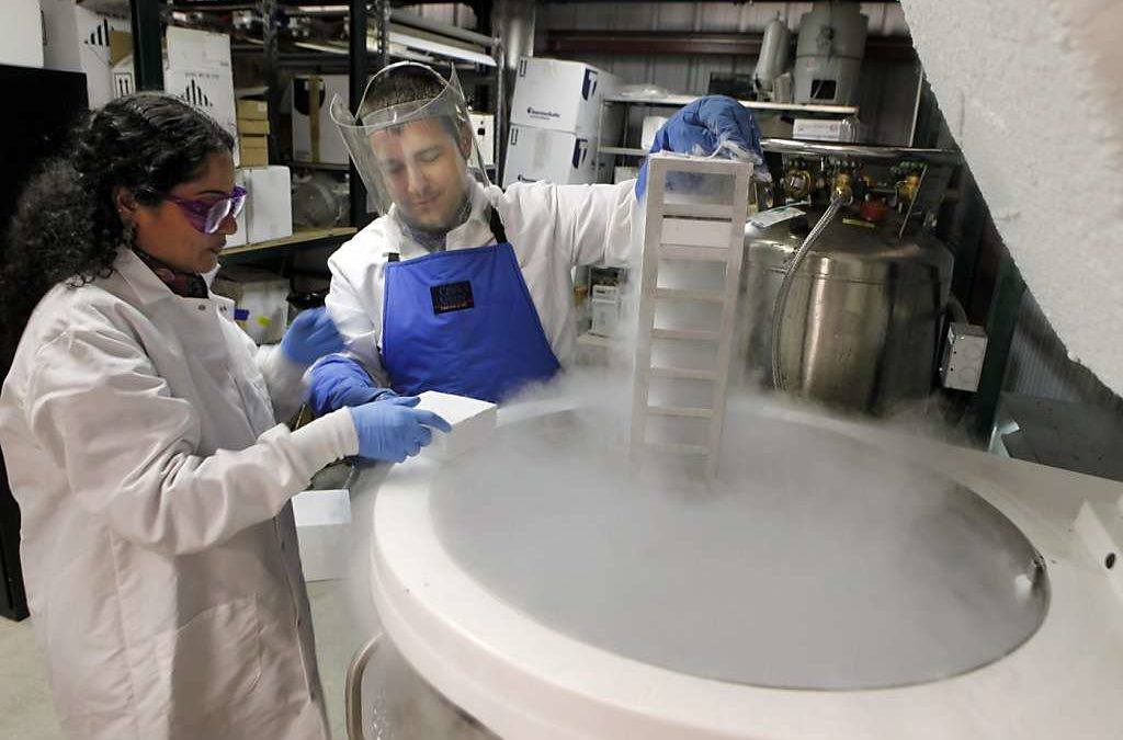 Man and woman look into liquid nitrogen tank: Liquid nitrogen is frequently used in scientific research, chemistry classes, and even culinary arts nowadays.